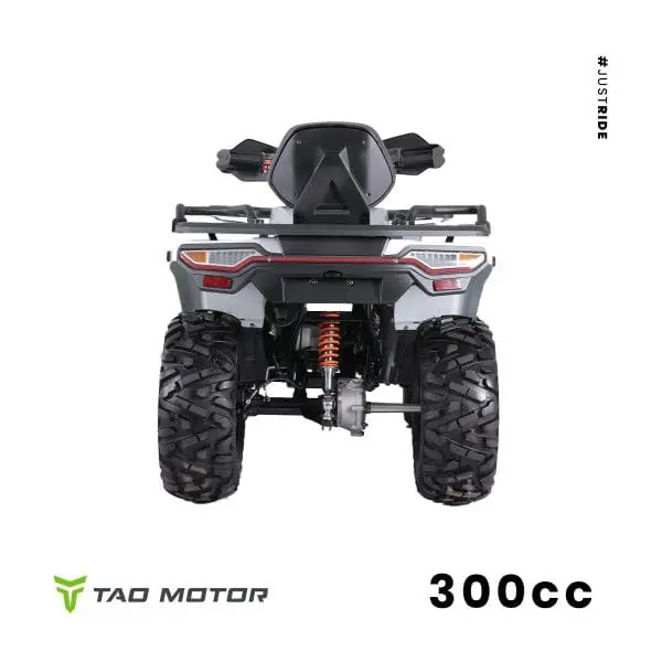 Go-karts Quads & Bikes Tao Motors 300cc Titan Off-road Quad