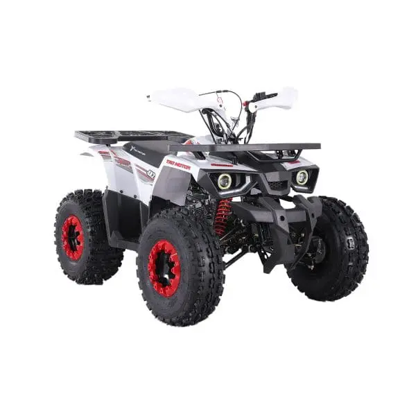 Go-karts Quads & Bikes Tao Motors 125cc Hunter Off-Road Quad Bike