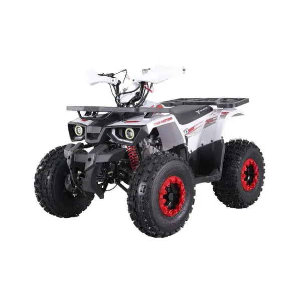 Go-karts Quads & Bikes Tao Motors 125cc Hunter Off-Road Quad Bike