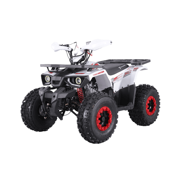 Tao Motors 125cc Hunter Off-Road Quad Bike