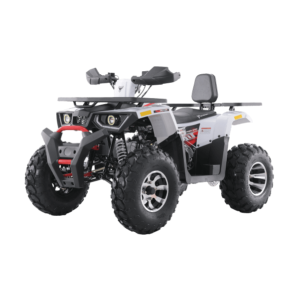 Tao Motors 180cc Braves 200 Off-Road Quad