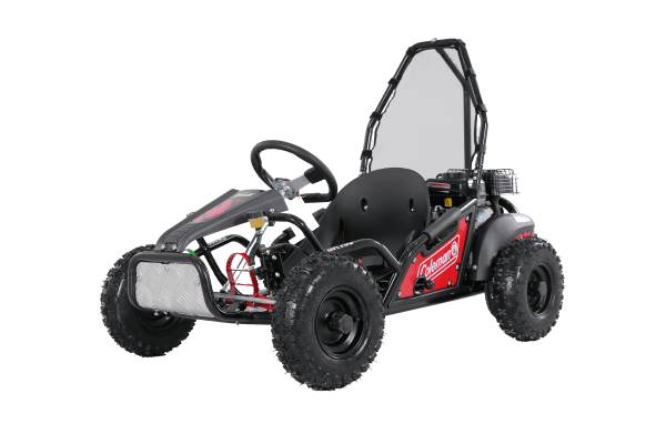 Tao Motors GK100 Go-Kart