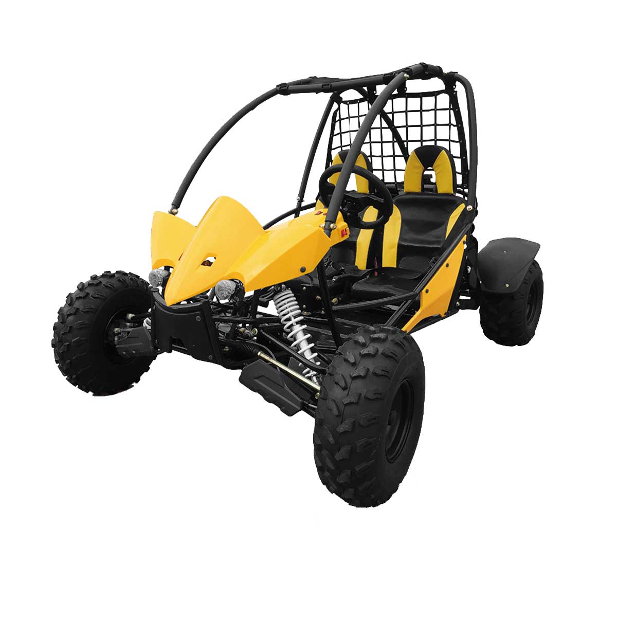 two seater off road buggy