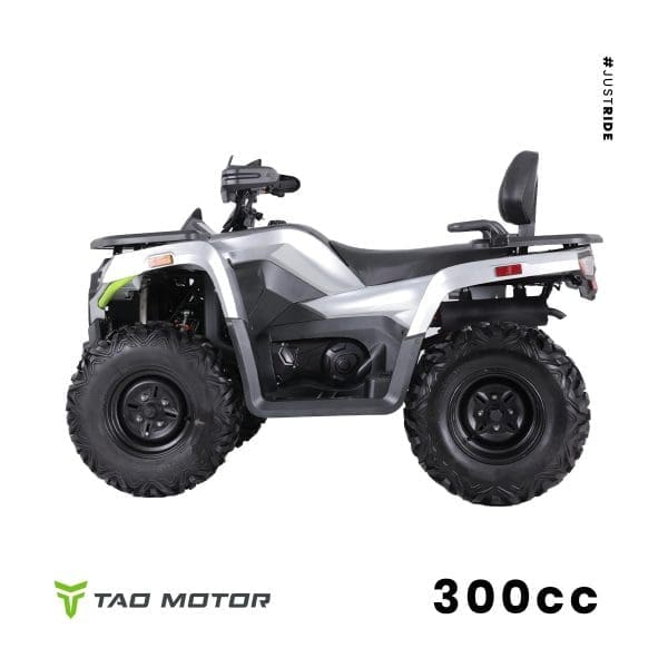 Go-karts Quads & Bikes Tao Motors 300cc Titan Off-road Quad