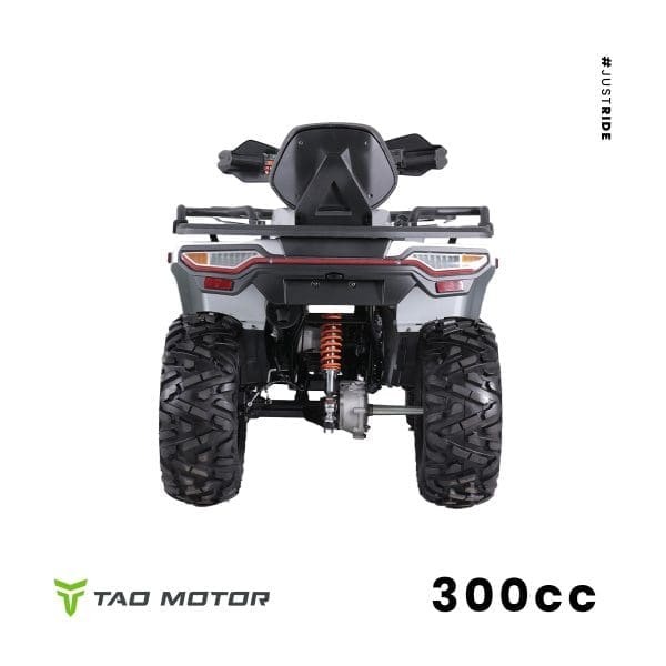 Go-karts Quads & Bikes Tao Motors 300cc Titan Off-road Quad