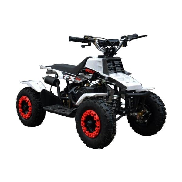 Go-karts Quads & Bikes 49CC Banshee Quad Bike Black