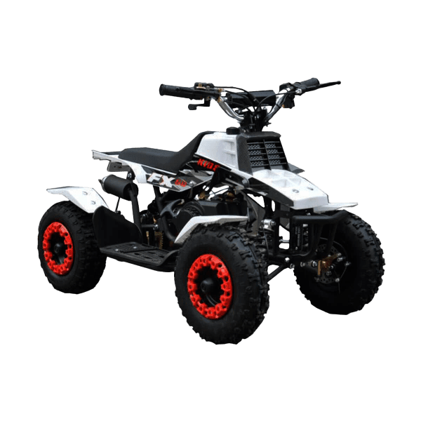 49cc Banshee Quad Bike