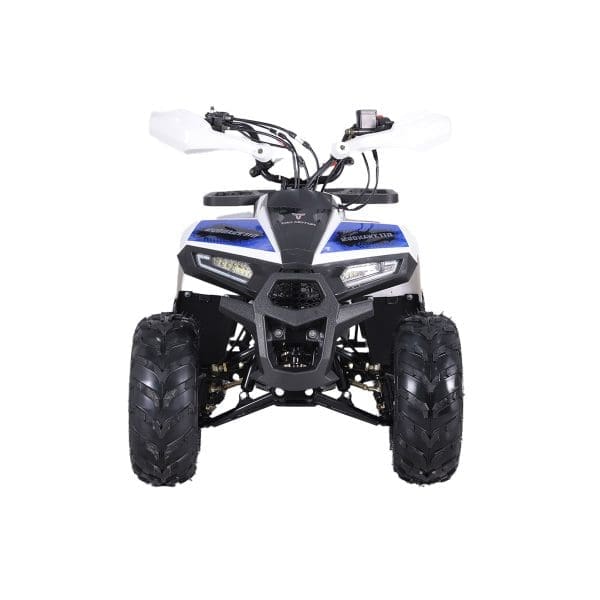 Go-karts Quads & Bikes Tao Motors 110cc Mudhawk Offroad Quad