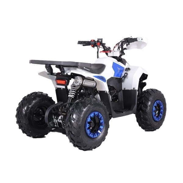 Go-karts Quads & Bikes Tao Motors 110cc Mudhawk Offroad Quad