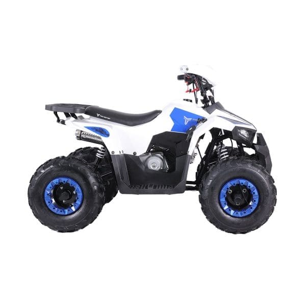 Go-karts Quads & Bikes Tao Motors 110cc Mudhawk Offroad Quad