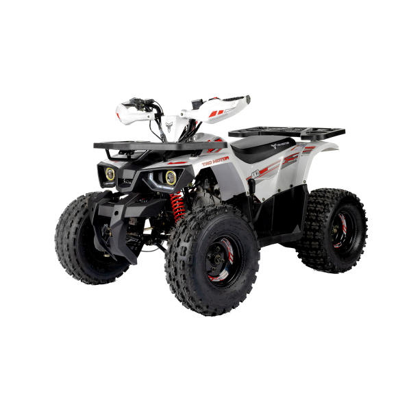 Tao Motors 125cc Hunter Off-Road Quad Bike ages 12-16 years
