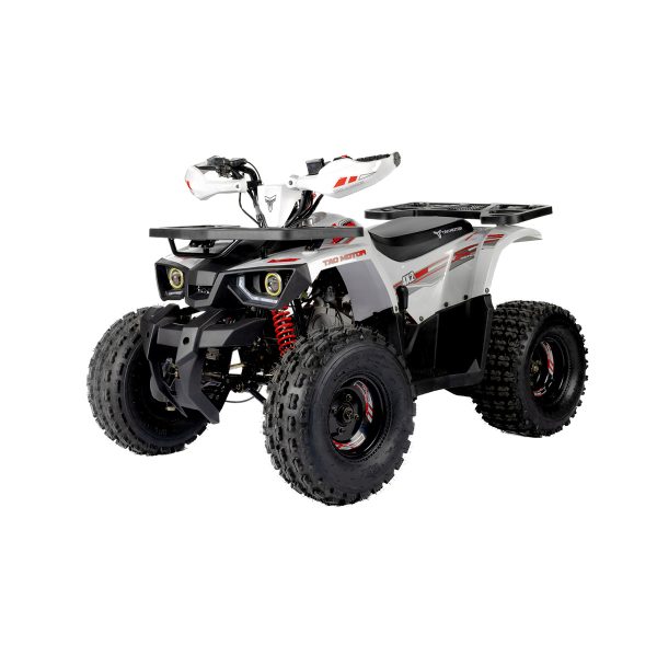 Tao Motors 125cc Hunter Off-Road Quad Bike ages 12-16 years - Image 2