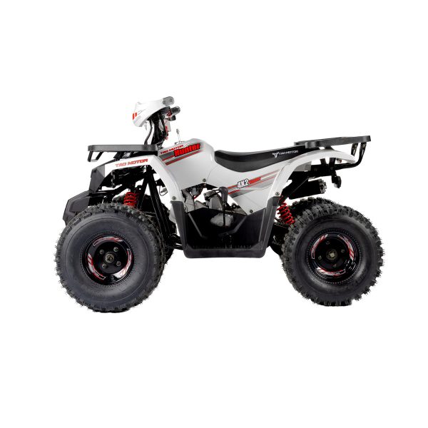 Tao Motors 125cc Hunter Off-Road Quad Bike ages 12-16 years - Image 3