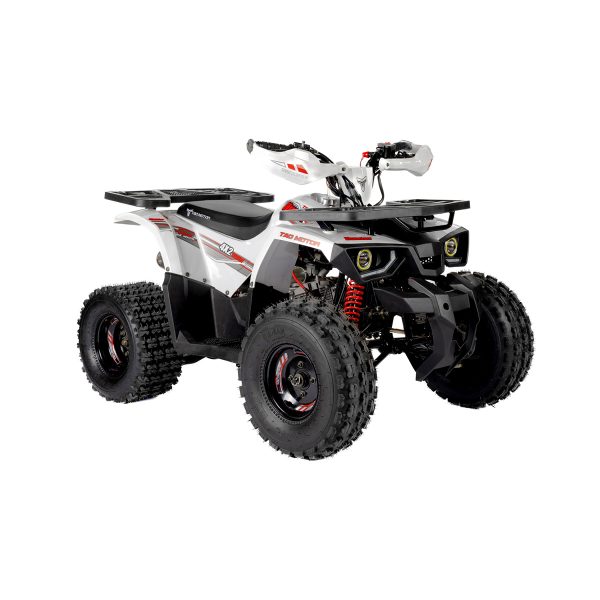 Tao Motors 125cc Hunter Off-Road Quad Bike ages 12-16 years - Image 4
