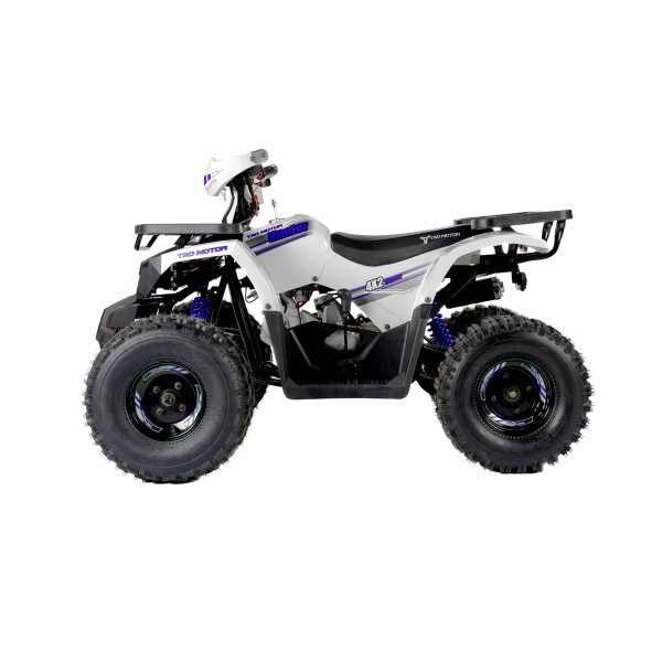 Tao Motors 125cc Hunter Off-Road Quad Bike ages 12-16 years - Image 5