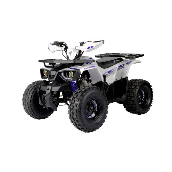 Tao Motors 125cc Hunter Off-Road Quad Bike ages 12-16 years - Image 6