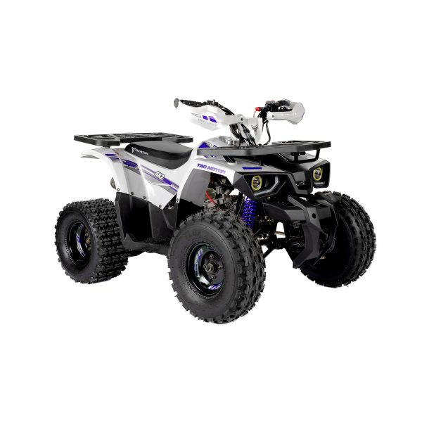 Tao Motors 125cc Hunter Off-Road Quad Bike ages 12-16 years - Image 7