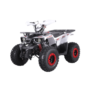 Tao Motors 125cc Hunter Off-Road Quad Bike