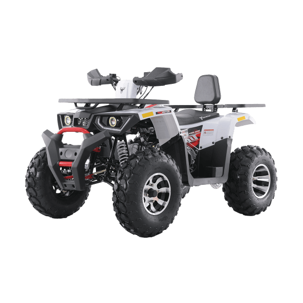 Tao Motors 180cc Braves 200 Off-Road Quad