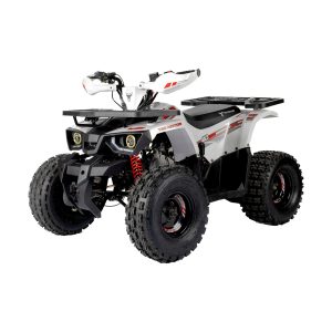 Tao Motors 125cc Hunter Off-Road Quad Bike
