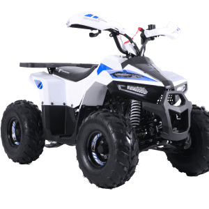 Tao Motors 110cc Mudhawk Off-Road Quad