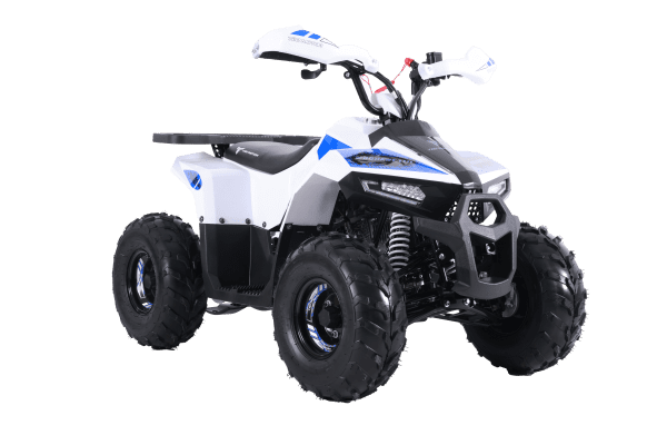 Tao Motors 110cc Mudhawk Off-Road Quad