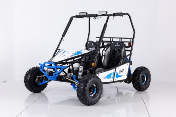 Tao Motors Triton 125 - Image 2