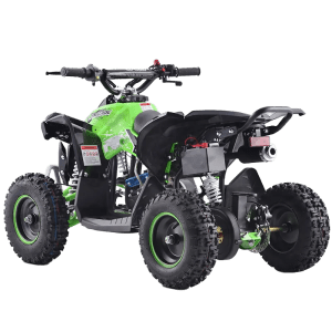 49cc Renegade kids quad