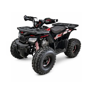 Tao Motors 125cc Hunter II Off-Road Quad Bike
