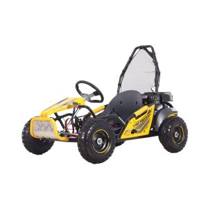 Tao Motors GK100 Kids Go Kart